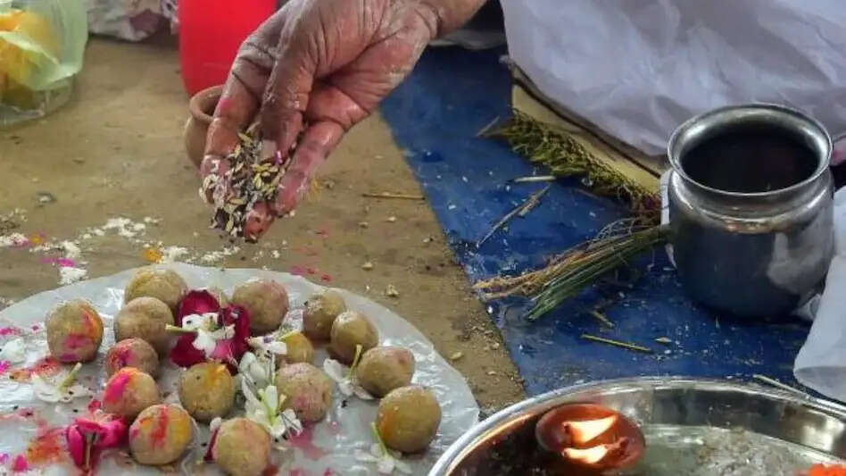  पितृपक्ष 2026
