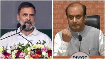 भाजपा का कांग्रेस नेता राहुल गांधी पर तीखा प्रहार