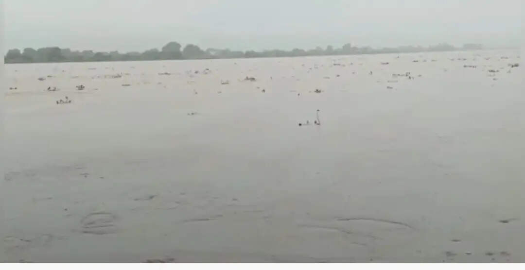 गंगा का जलस्तर चेतावनी स्तर से ऊपर
