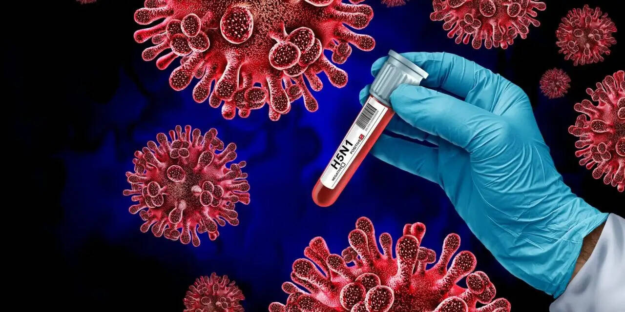 उरुग्वे में H5N1 वायरस मिलने से हड़कंप